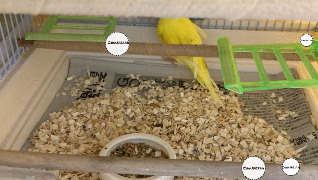 インコのケージ