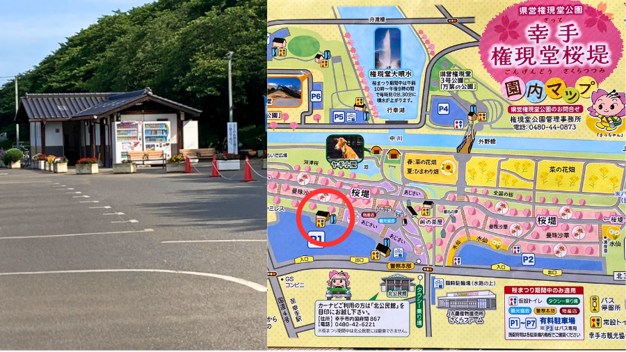 P１駐車場の自動販売機と去って観光協会権現堂園内マップ