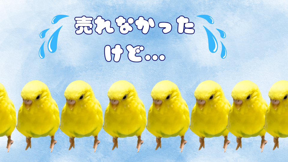 インコのオムちゃん