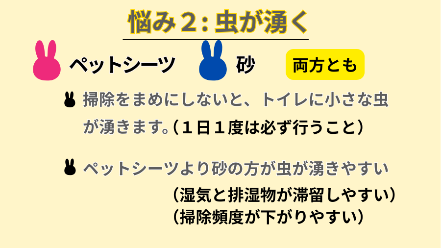 うさぎのトイレ掃除の悩み２：虫が湧く