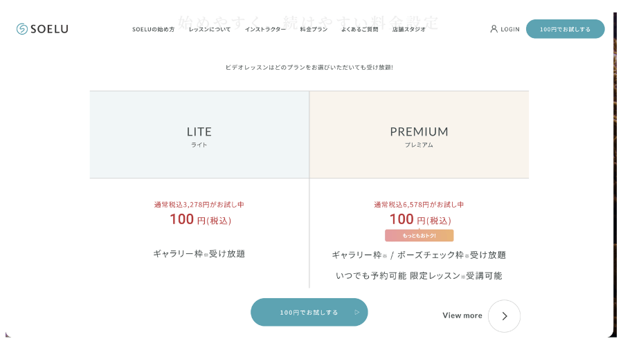 SOELUの料金表