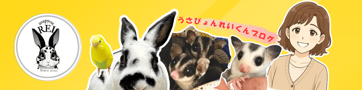 うさぴょんれいくんとなかまたち