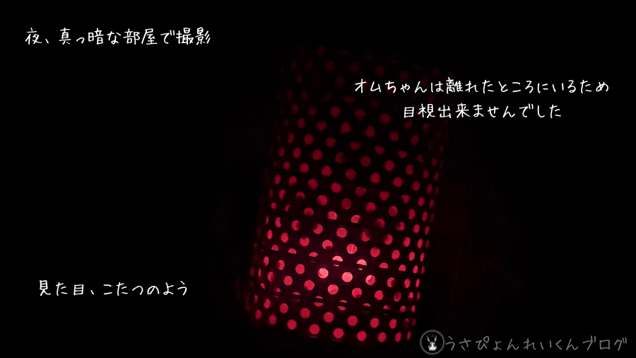 暗闇の中の保温電球