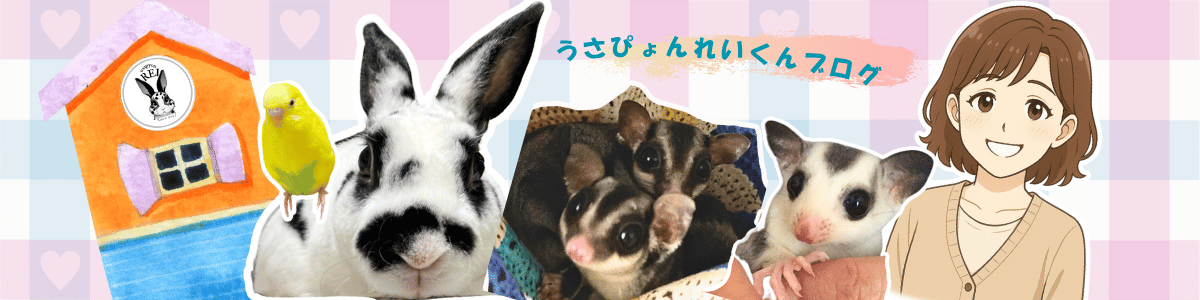 うさぴょんれいくんとなかまたち