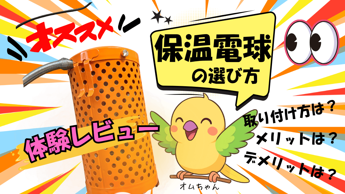 インコと保温電球